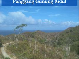  Land for sale in Yogyakarta, Tepus, Gunung Kidul, Yogyakarta