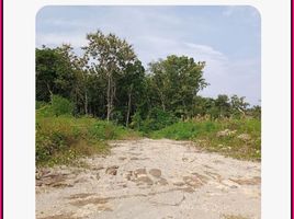  Land for sale in Kasihan, Bantul, Kasihan