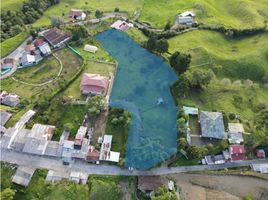  Terreno (Parcela) en venta en Filandia, Quindio, Filandia