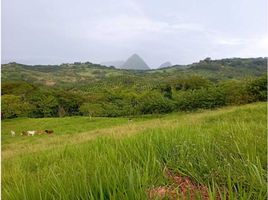  Grundstück zu verkaufen in Tamesis, Antioquia, Tamesis