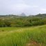  Land for sale in Tamesis, Antioquia, Tamesis