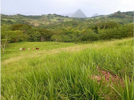  Land for sale in Tamesis, Antioquia, Tamesis