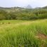  Land for sale in Tamesis, Antioquia, Tamesis