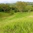  Terrain for sale in Tamesis, Antioquia, Tamesis