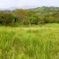  Terrain for sale in Tamesis, Antioquia, Tamesis