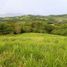  Terrain for sale in Tamesis, Antioquia, Tamesis