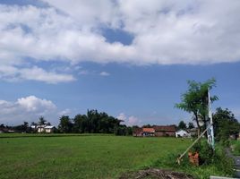  Land for sale in Sumbersari, Jember, Sumbersari