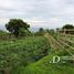  Tanah for sale in Buleleng, Bali, Seririt, Buleleng