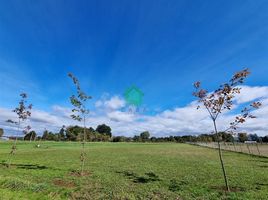  Terreno (Parcela) en venta en Los Ríos, Mariquina, Valdivia, Los Ríos