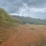  Land for sale in Calima, Valle Del Cauca, Calima