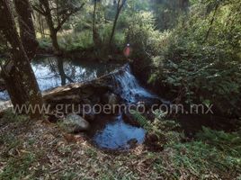  Terreno (Parcela) en venta en Mazamitla, Jalisco, Mazamitla