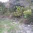  Land for sale in Don Matias, Antioquia, Don Matias