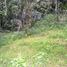  Land for sale in Kerambitan, Tabanan, Kerambitan