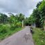 3 Habitación Casa en venta en Prambanan, Jawa Tengah, Prambanan, Klaten, Jawa Tengah