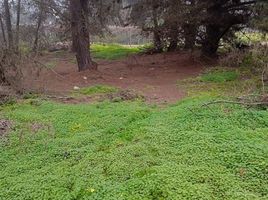  Terreno (Parcela) en venta en Chile, Viña del Mar, Valparaíso, Valparaíso, Chile