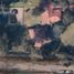  Land for sale in Moreno, Buenos Aires, Moreno