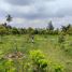  Grundstück zu verkaufen in Seyegan, Yogyakarta, Seyegan, Sleman