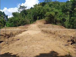  Land for sale in Yogyakarta, Pengasih, Kulon Progo, Yogyakarta