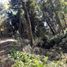  Terreno (Parcela) en venta en Chile, Temuco, Cautín, Araucanía, Chile
