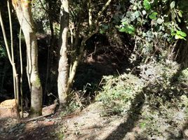  Terreno (Parcela) en venta en Chile, Temuco, Cautín, Araucanía, Chile