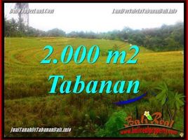  Tanah for sale in Selemadeg, Tabanan, Selemadeg