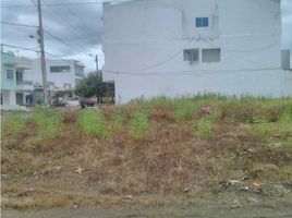  Land for sale in Monteria, Cordoba, Monteria