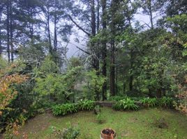  Land for sale in Mineral Del Chico, Hidalgo, Mineral Del Chico