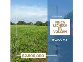 Studio House for sale in Volcan, Bugaba, Volcan