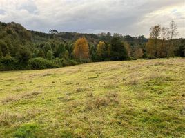  Terreno (Parcela) en venta en Los Ríos, Lanco, Valdivia, Los Ríos