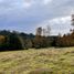  Terreno (Parcela) en venta en Los Ríos, Lanco, Valdivia, Los Ríos