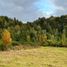  Terreno (Parcela) en venta en Los Ríos, Lanco, Valdivia, Los Ríos