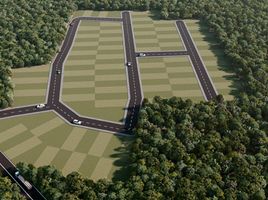  Land for sale in Motul, Yucatan, Motul