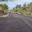  Land for sale in Motul, Yucatan, Motul