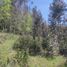  Land for sale in Araucania, Villarrica, Cautin, Araucania