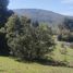  Land for sale in Araucania, Villarrica, Cautin, Araucania