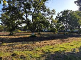  Land for sale in Torreon, Coahuila, Torreon, Coahuila, Mexico