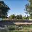  Land for sale in Torreon, Coahuila, Torreon, Coahuila, Mexico