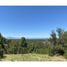  Land for sale in Chile, Puerto Varas, Llanquihue, Los Lagos, Chile