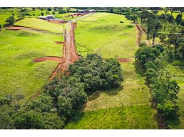  Terrain for sale in Barrio Colon, La Chorrera, Barrio Colon