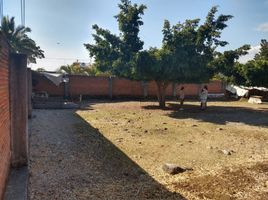  Grundstück zu verkaufen in Temixco, Morelos, Temixco