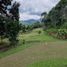 4 Bedroom Villa for sale in Vergara Cundinamarca, Vergara