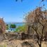  Land for sale in Amacuzac, Morelos, Amacuzac