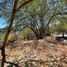  Land for sale in Amacuzac, Morelos, Amacuzac
