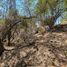  Land for sale in Amacuzac, Morelos, Amacuzac