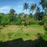  Rumah for sale in Ubud, Gianyar, Ubud