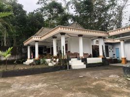  Land for sale in Yogyakarta, Seyegan, Sleman, Yogyakarta