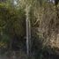  Land for sale in Chacabuco, Santiago, Lampa, Chacabuco
