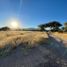  Land for sale in Zaragoza, San Luis Potosi, Zaragoza