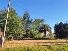  Land for sale in San Lorenzo, Santa Fe, San Lorenzo