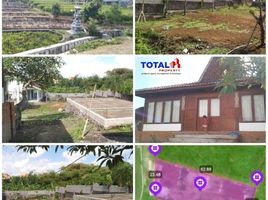  Land for sale in Canggu, Bali, Canggu